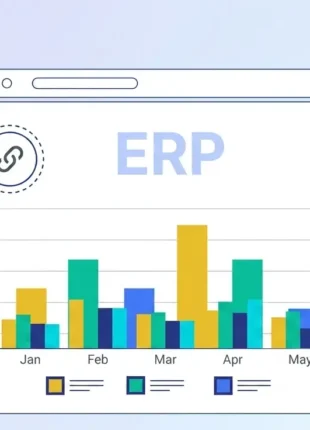 Salesforce ERP integration