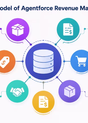 Data Model Of Agentforce Revenue Managment