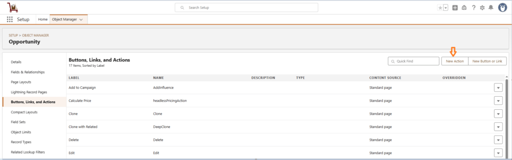 Generate Document Using Lightning Experience 4